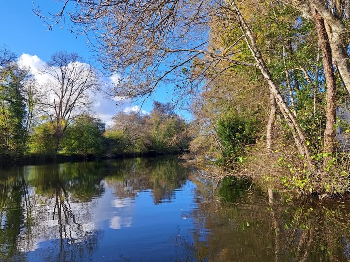 Paysage de La Roche-Chalais